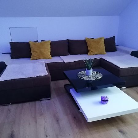 לאופנבורג Apartment An Der Schweizer Grenze מראה חיצוני תמונה