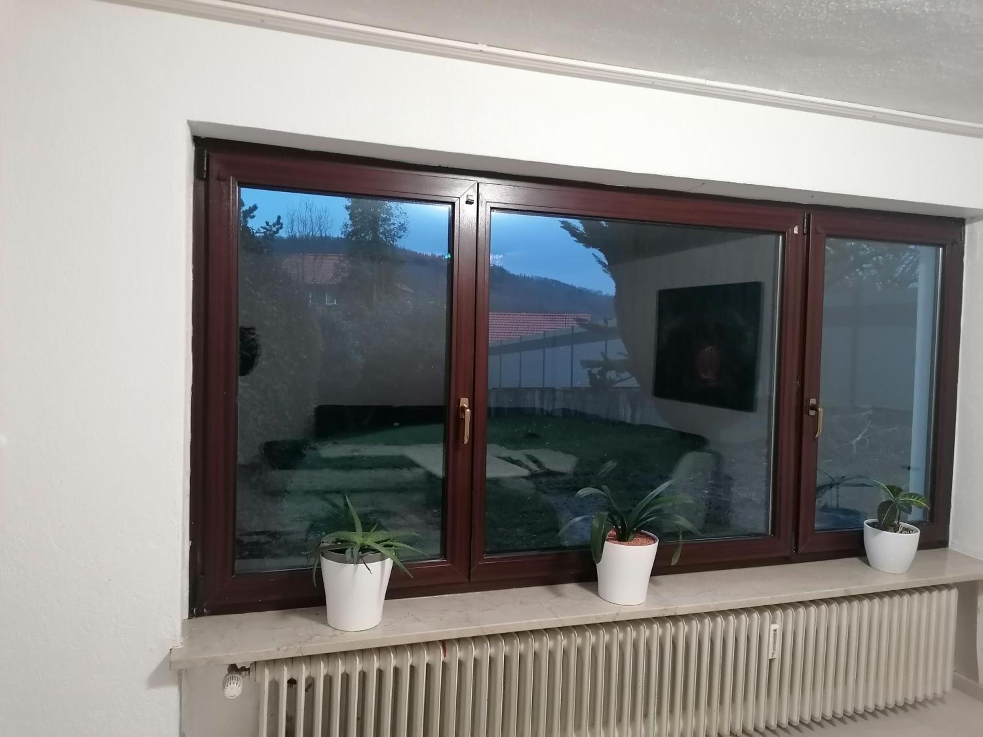 לאופנבורג Apartment An Der Schweizer Grenze מראה חיצוני תמונה