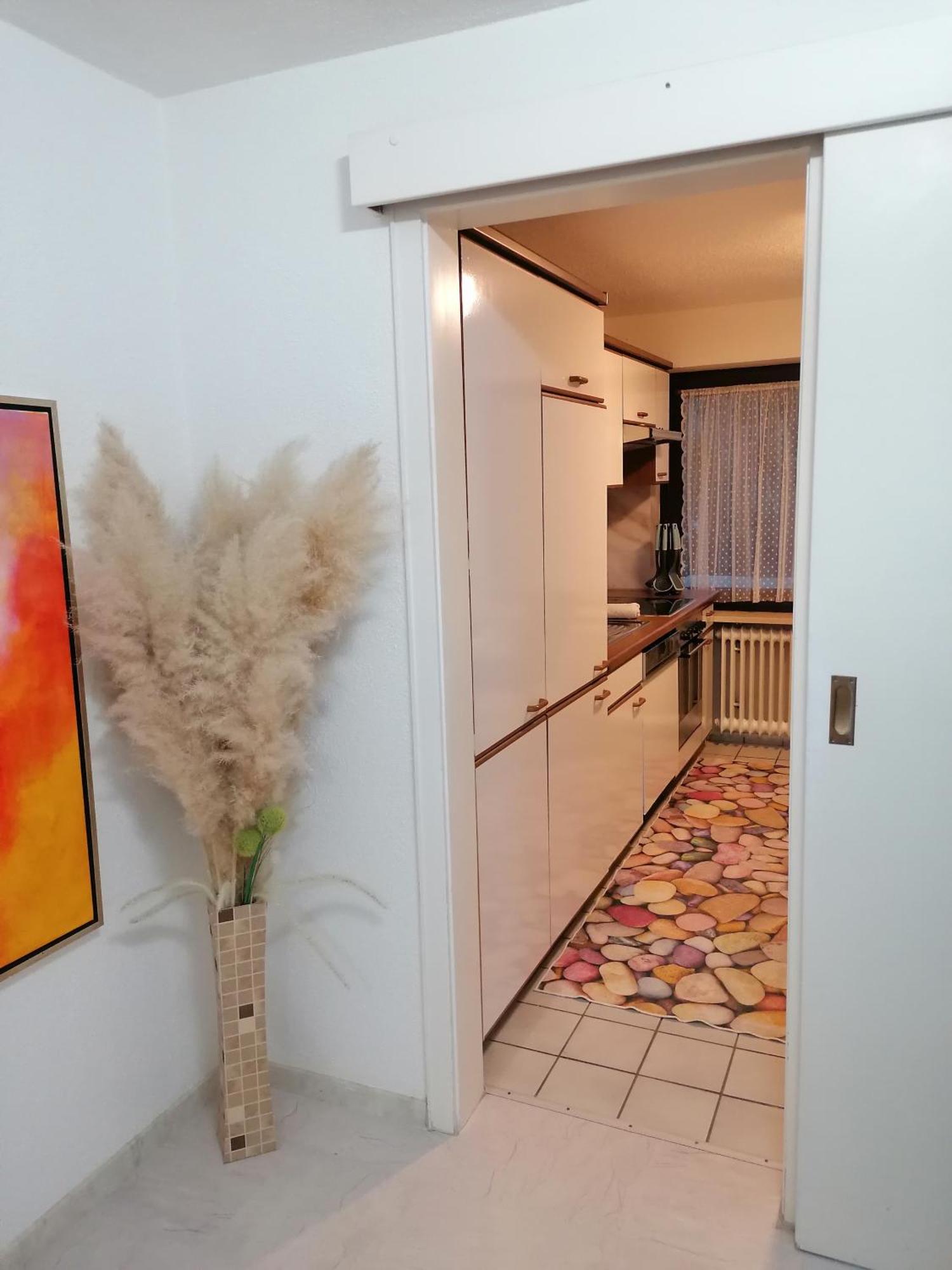 לאופנבורג Apartment An Der Schweizer Grenze מראה חיצוני תמונה